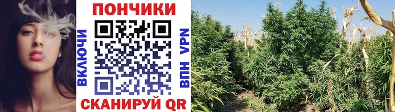 Магазин наркотиков Багратионовск Конопля КОКАИН ГАШ Меф мяу мяу