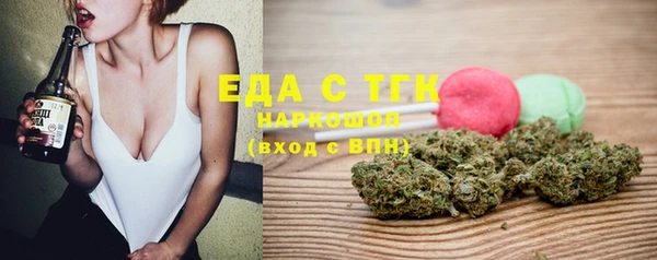 индика Армянск