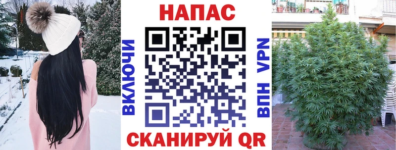 Шишки марихуана тримм  Багратионовск 